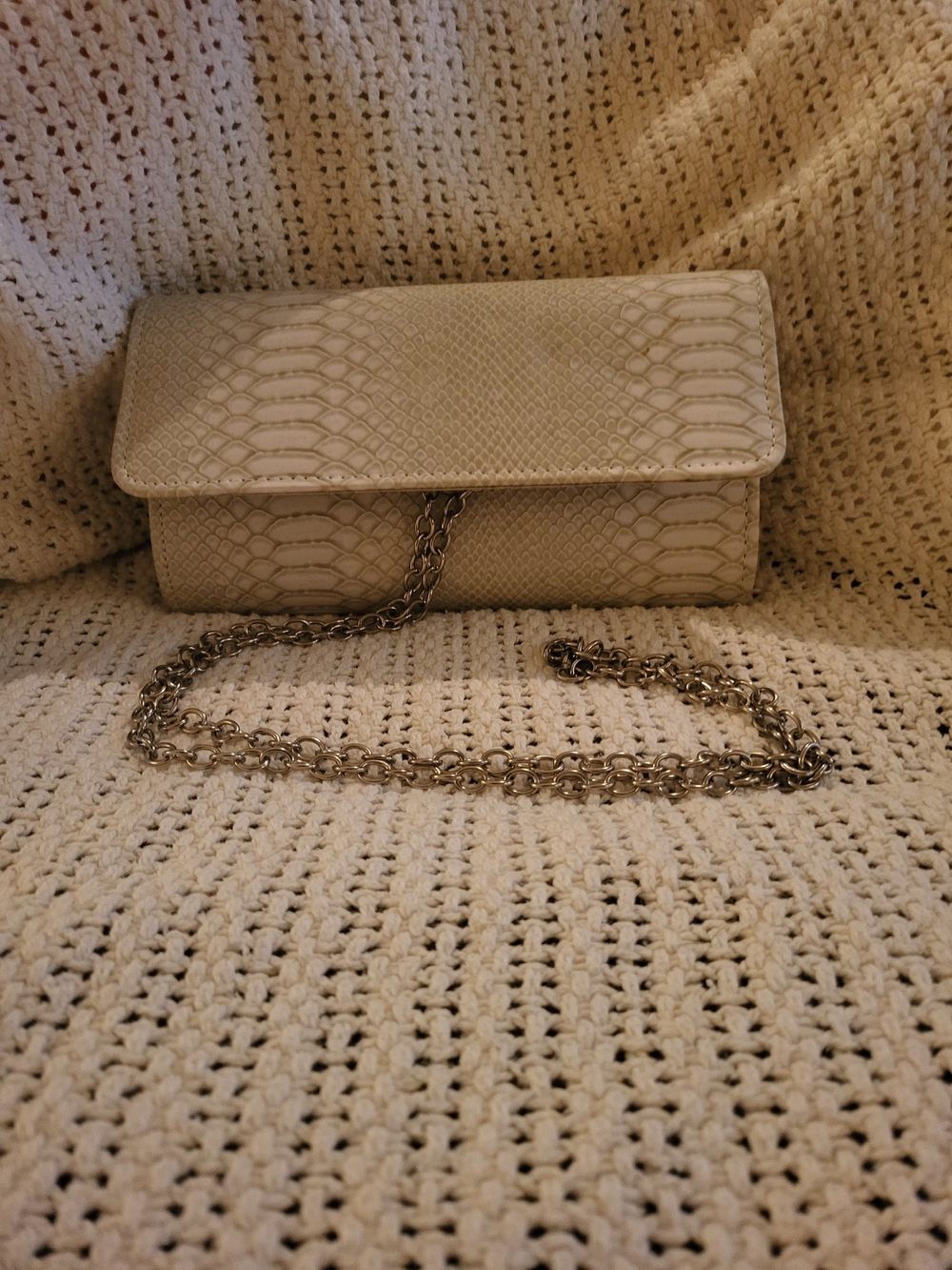 Cream Snake-Embossed Chain Strap Wristlet